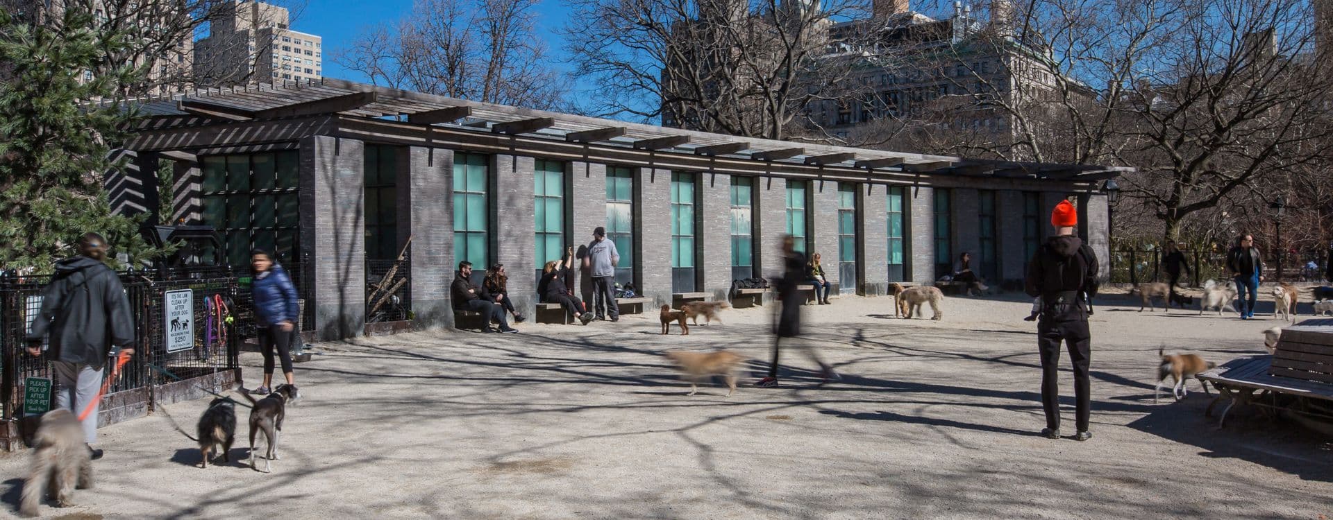 Dog run at the park.