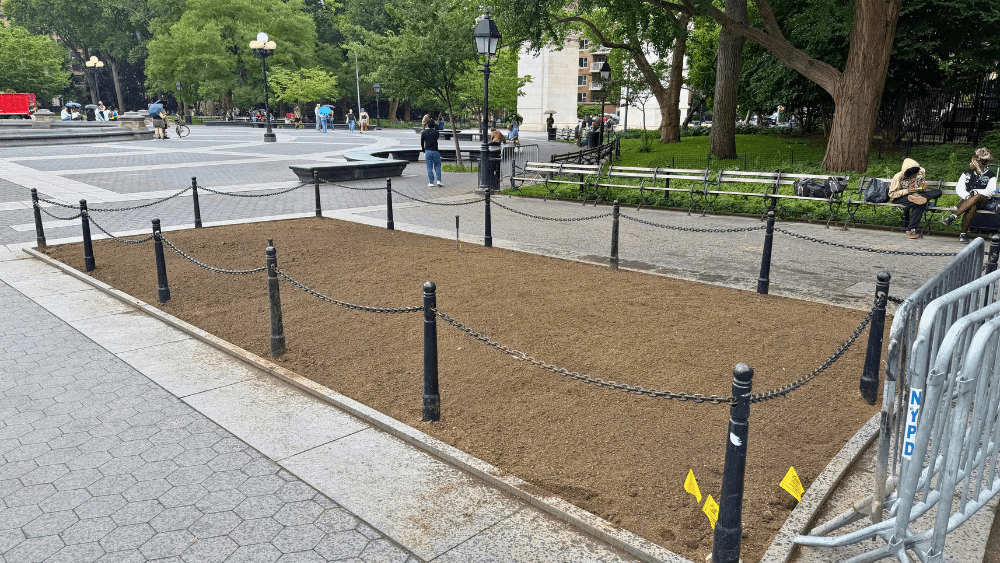 A redesigned garden bed in Washington Square Park.