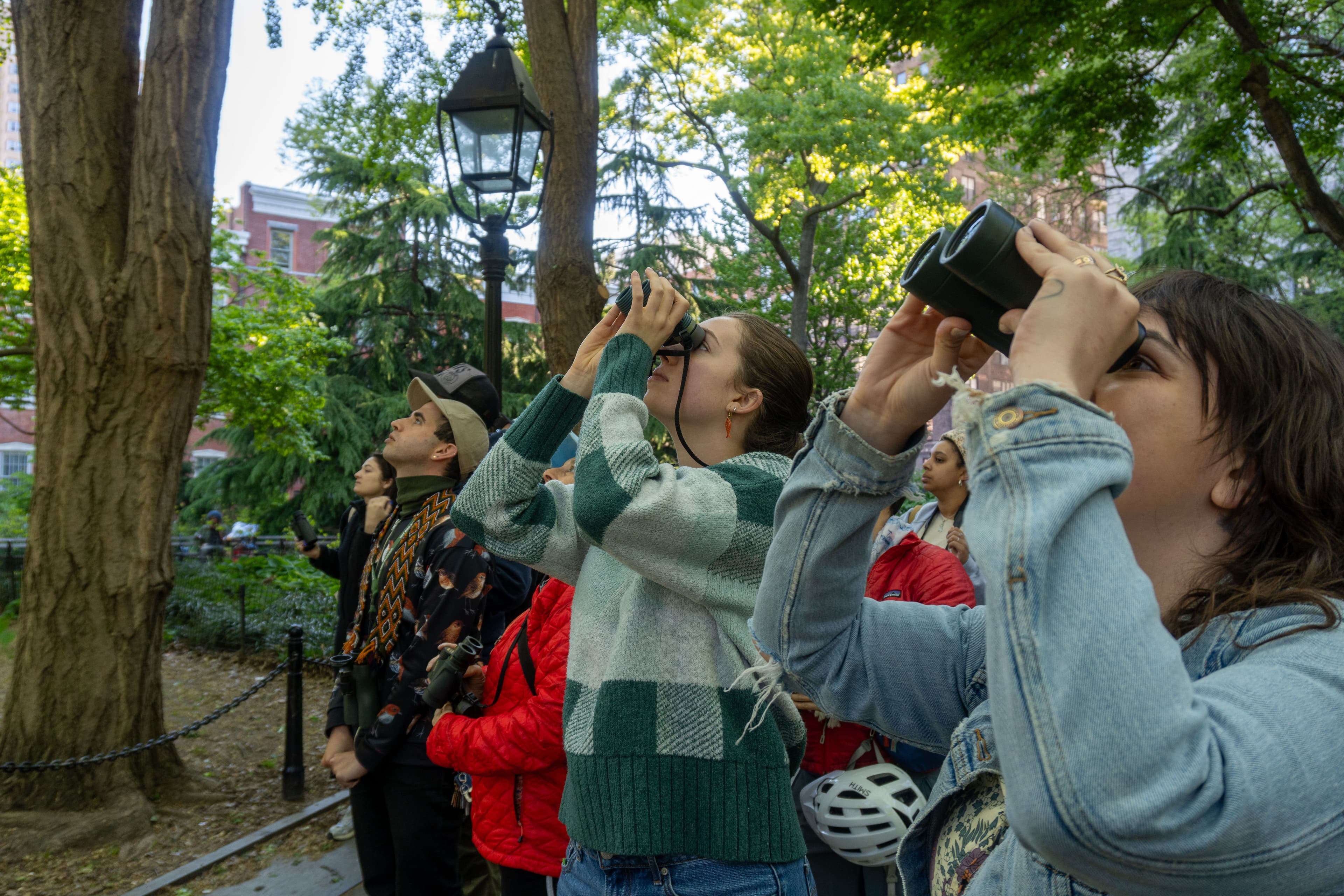 People bird watch in Washington Square Park.