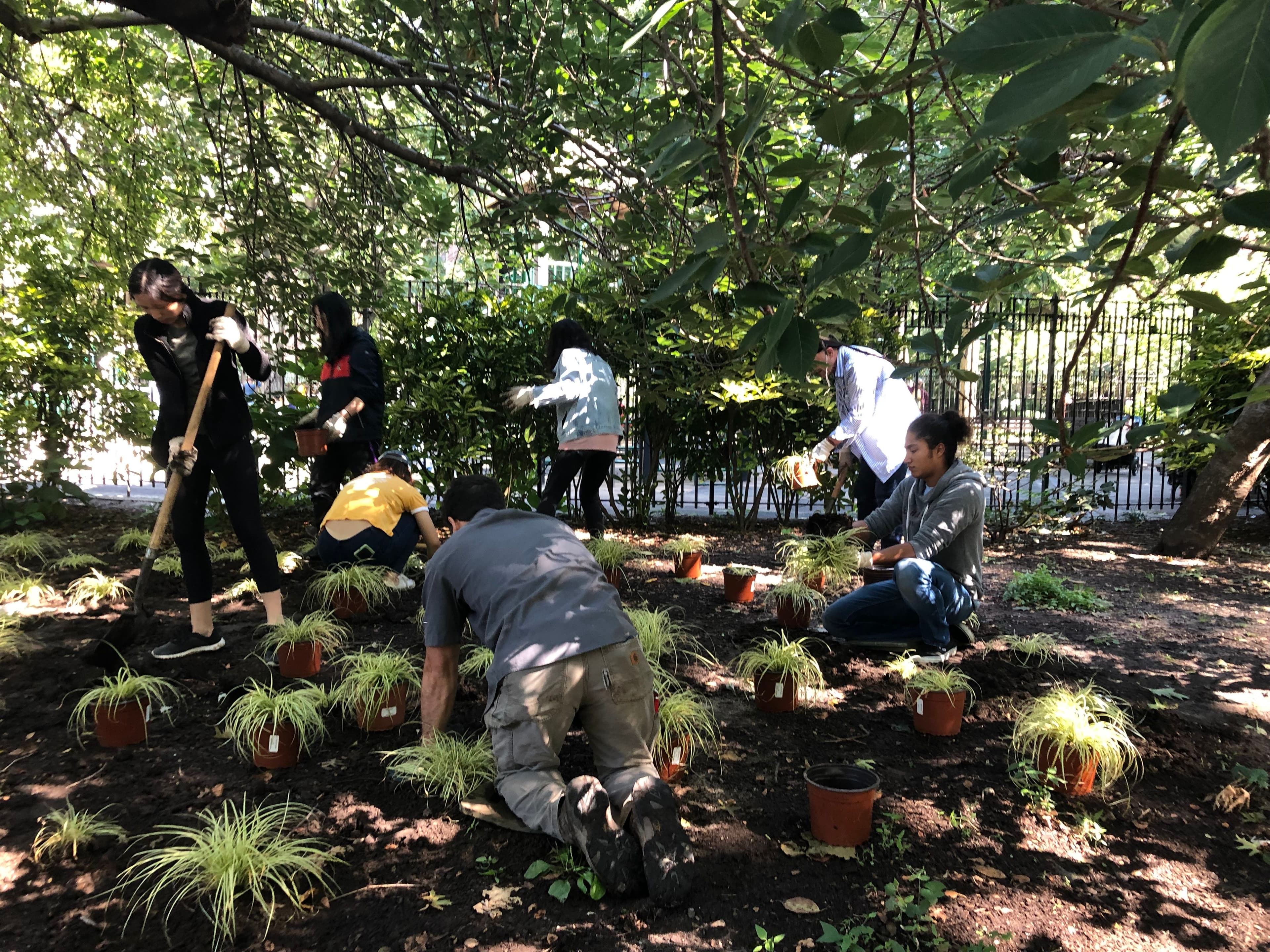 Volunteers in the park