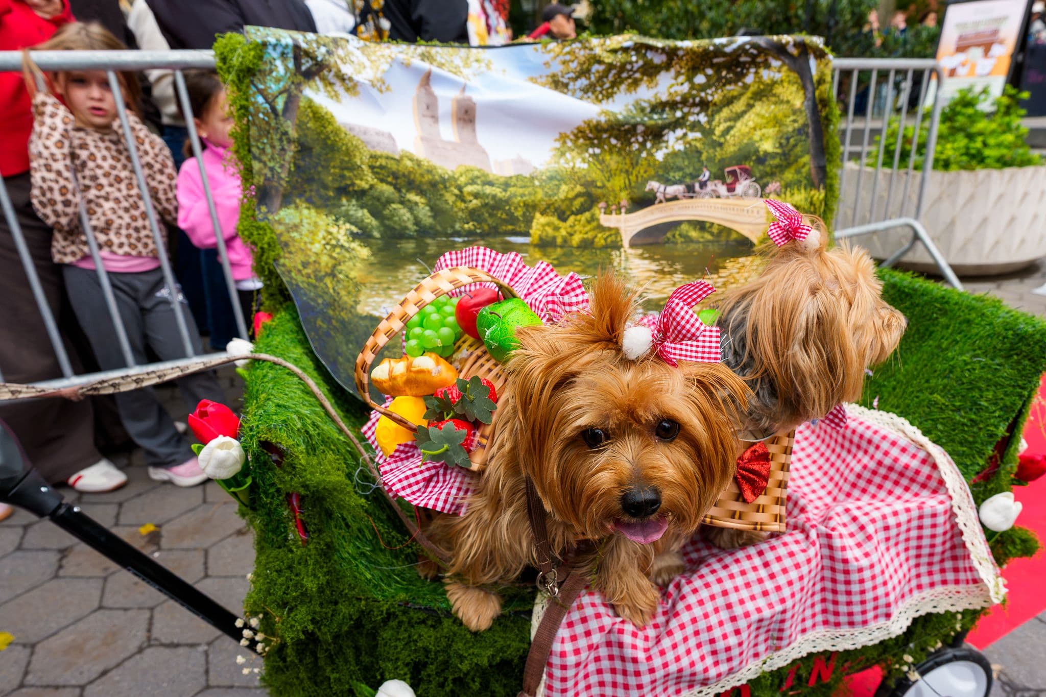 Two Yorkshire terriers with red gingham bows sit in a stroller decorated as a Central Park picnic, with a red checkered blanket, artificial grass, and a basket of faux fruit and bread. Behind them, a painted backdrop shows Bow Bridge, a horse-drawn carriage, and the San Remo towers as children watch from behind a barricade.