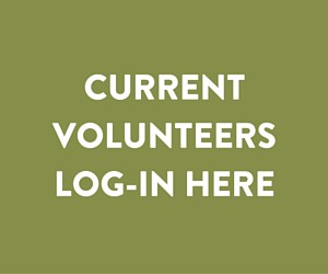 Volunteer Log In