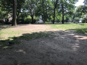 IMG_0528