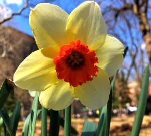 IMG_3693_Fotor