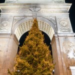 christmas tree with yellow lights in the center of the arch at night