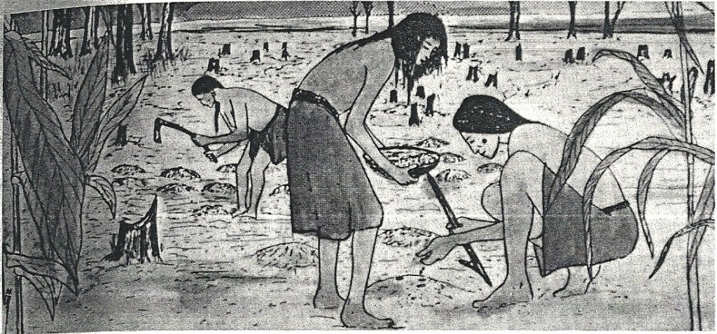 Artists depiction of Lenape men preparing soil for cultivation