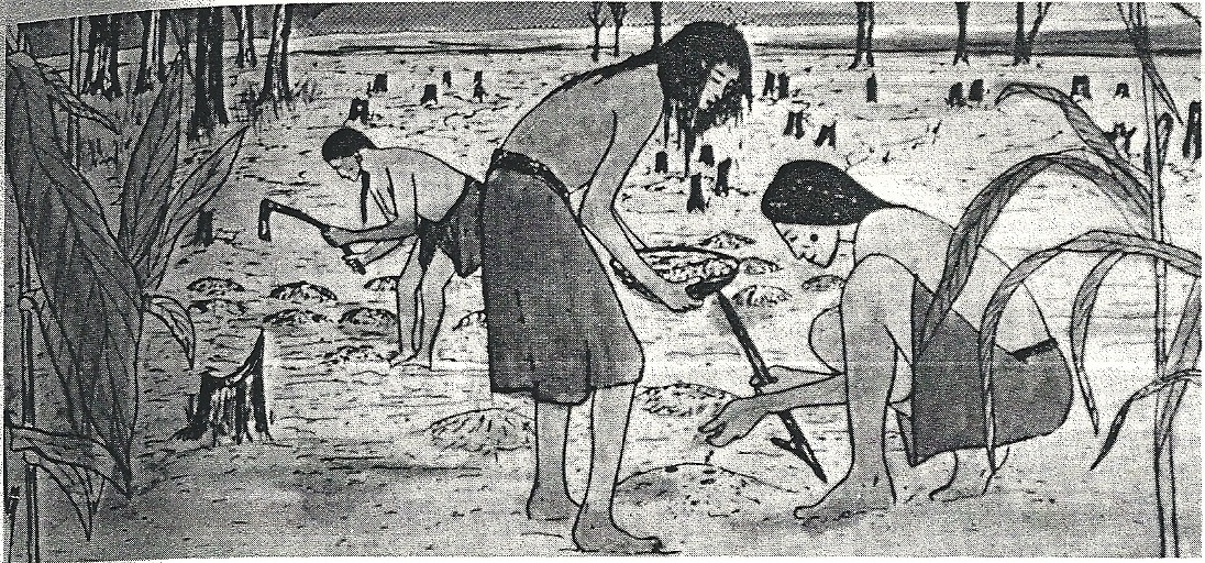 Lenape men preparing soil for cultivation. Reprinted from "The Lenapes" by R. S. Grumet and F. W. Porter, 1989, New York, Chelsea House.