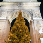 christmas tree with yellow lights in the center of the arch at night
