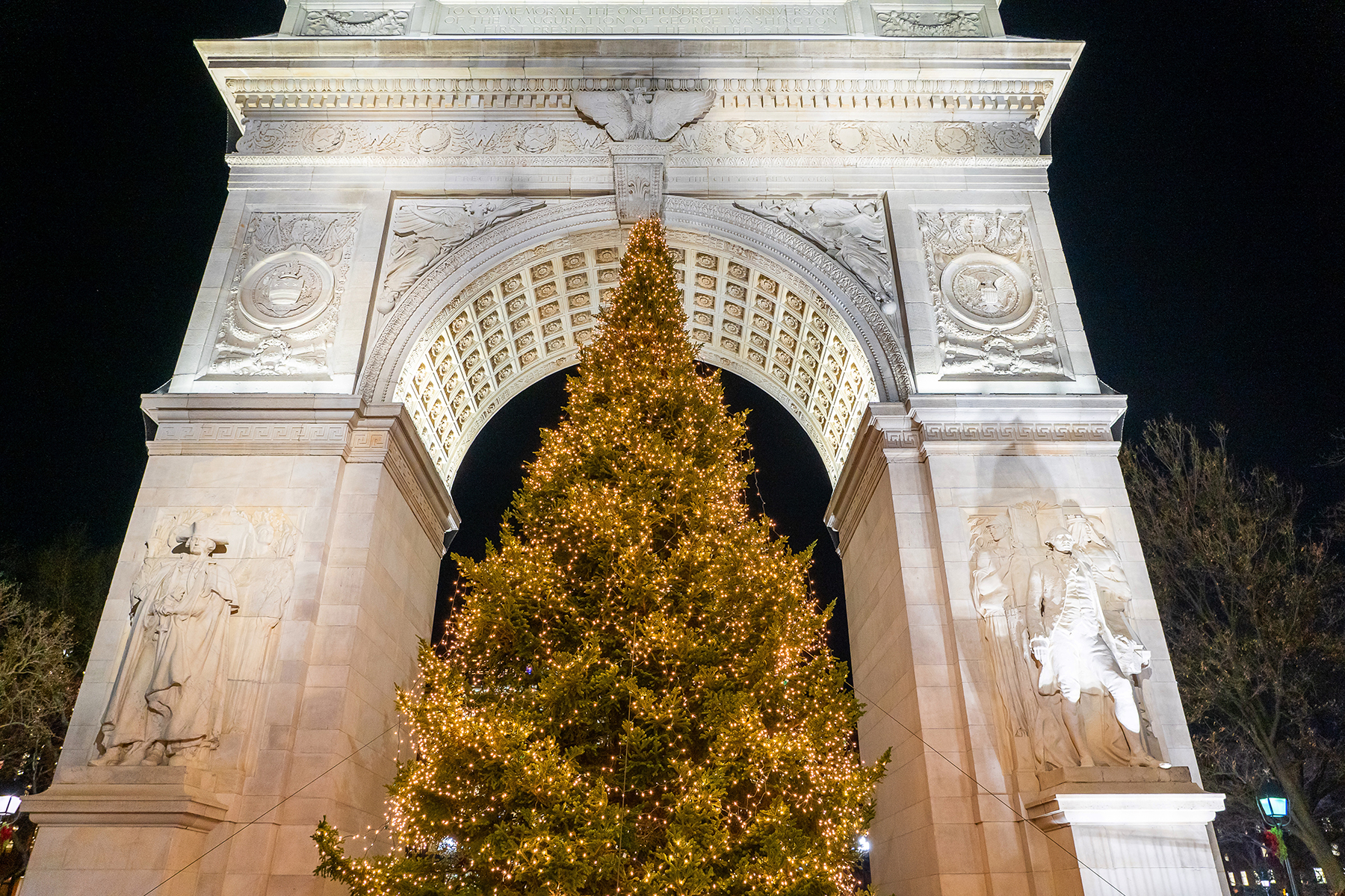 christmas tree with yellow lights in the center of the arch at night