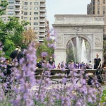 purple flowers in the foreground, people sitting on benches in the midground, the arch and fountain in the background