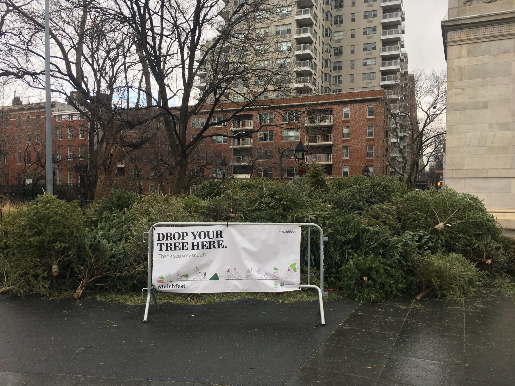 a pile of discarded christmas trees in the park behind a sign that reads "drop your tree here"