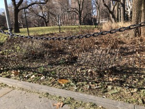 Fencing in disrepair