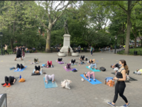 people exercising in garibaldi plaza on yoga mats