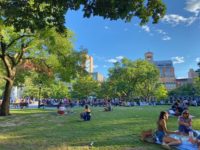 multiple groups of people having picnics on grass in the park