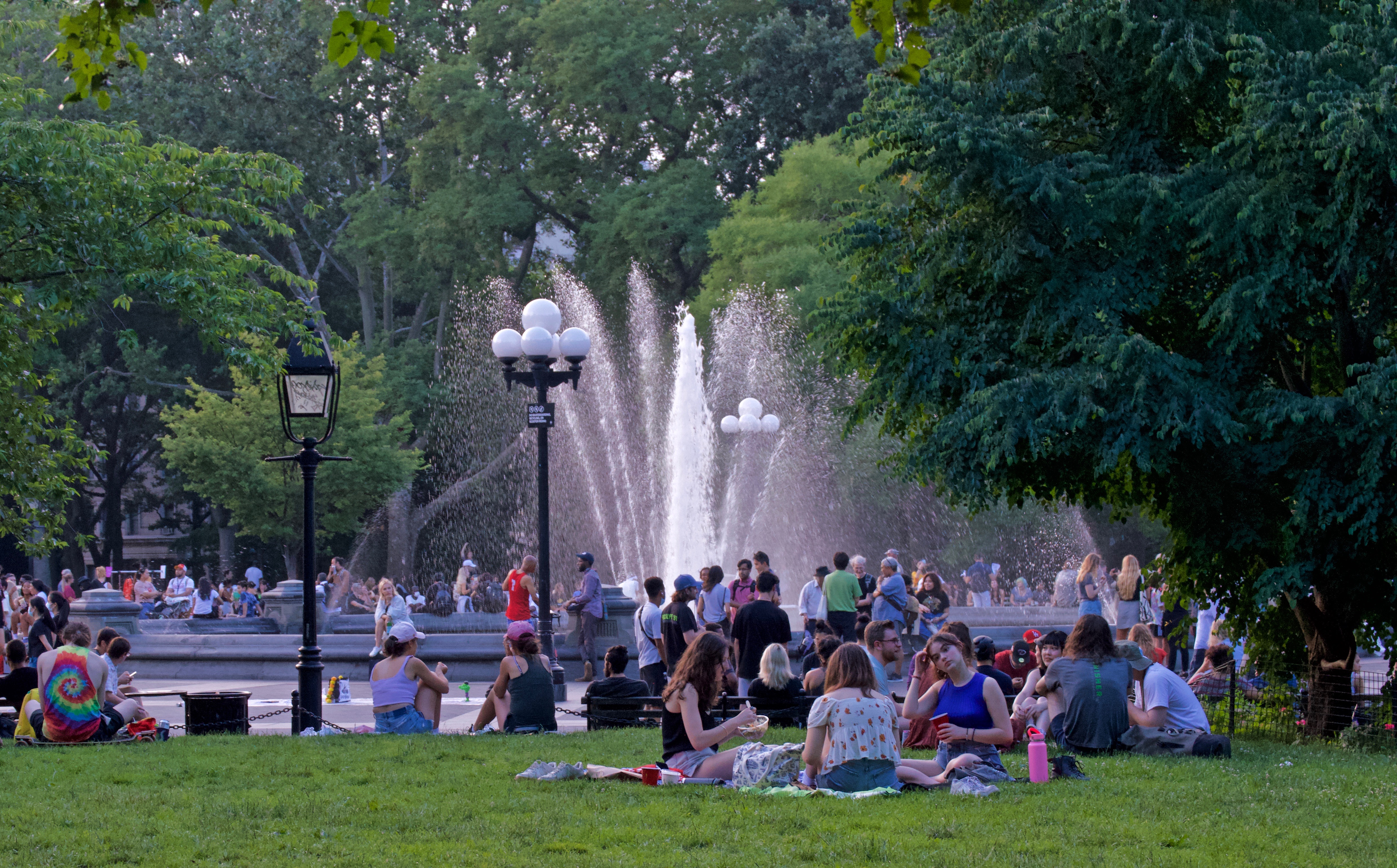 WSP on a crowded summer day