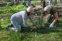 two people use gardening tools in the park on their hands and knees