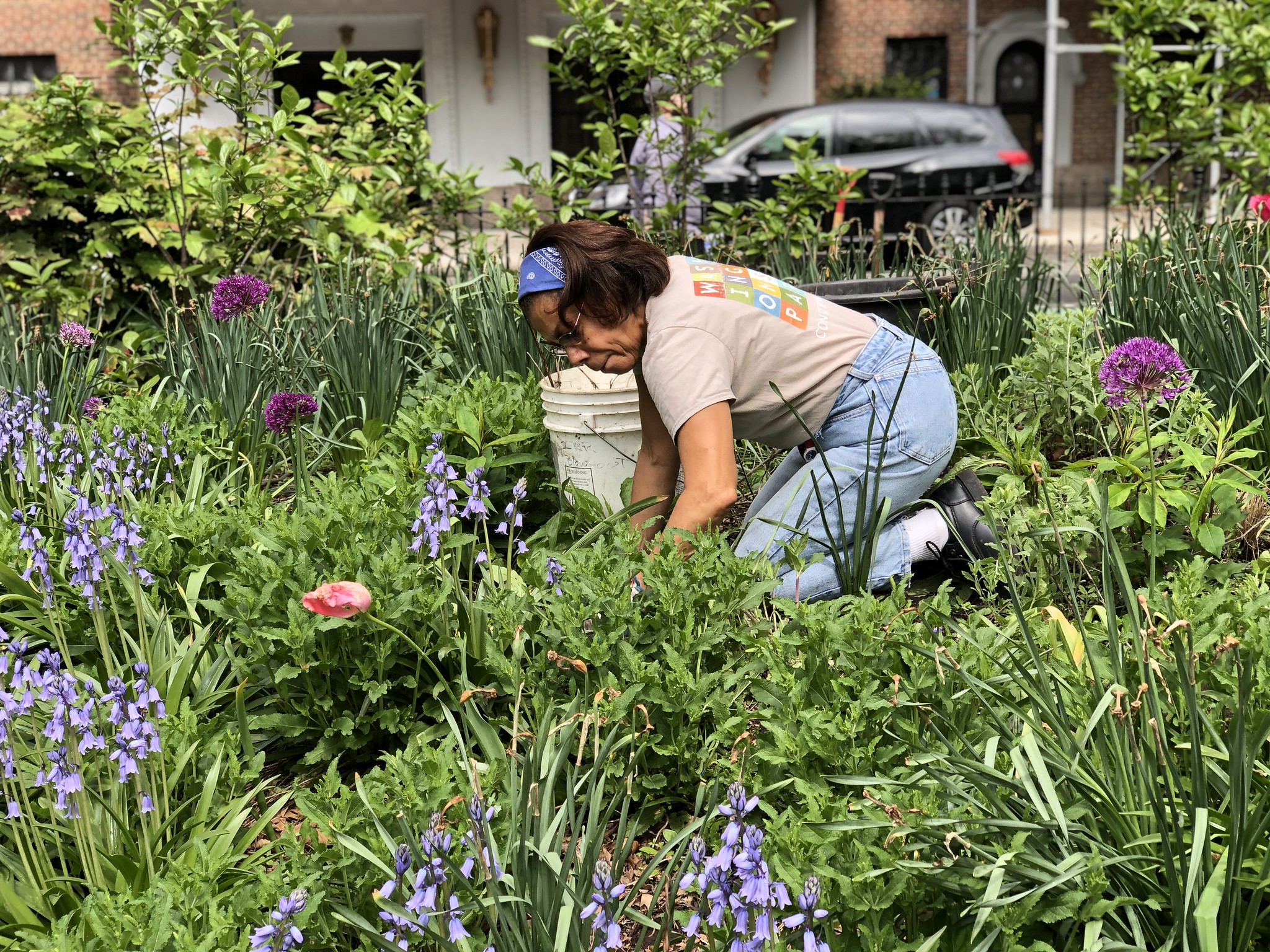 a park volunteer works on their hands and knees in a garden