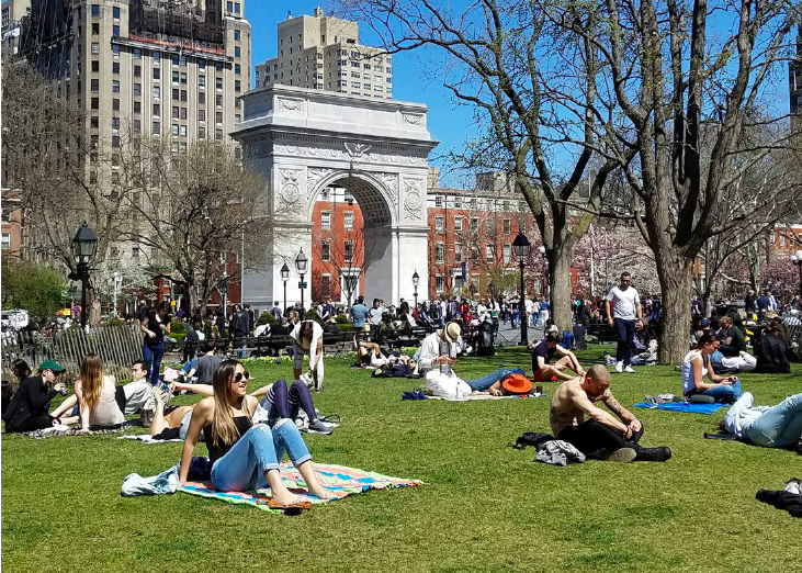 multiple groups of people sitting on grass in the park on a sunny day with the arch in the background