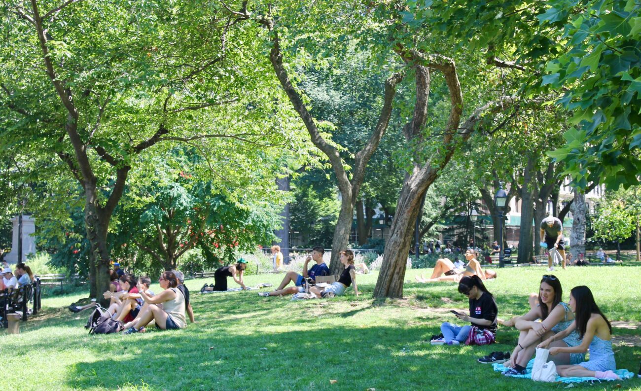 people sitting on grass in the park underneath trees