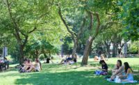 people sitting on grass in the park underneath trees